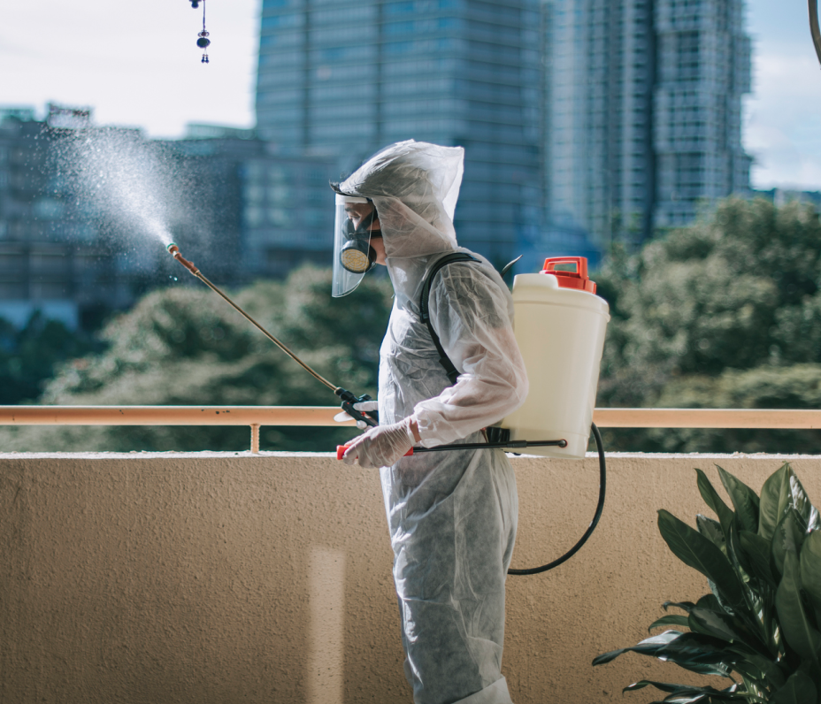 Rose pest control experts spraying disinfects